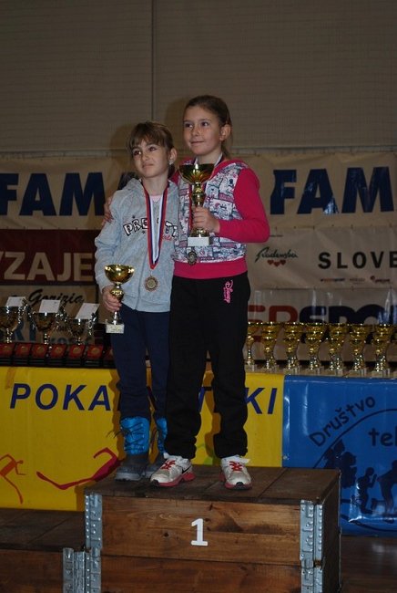 Vrtojba zakljuce 85
